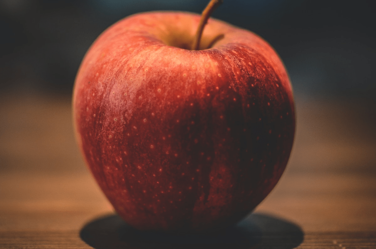 Actress Lisa Alavi in Confessions Actress Lisa Alavi in Confessions