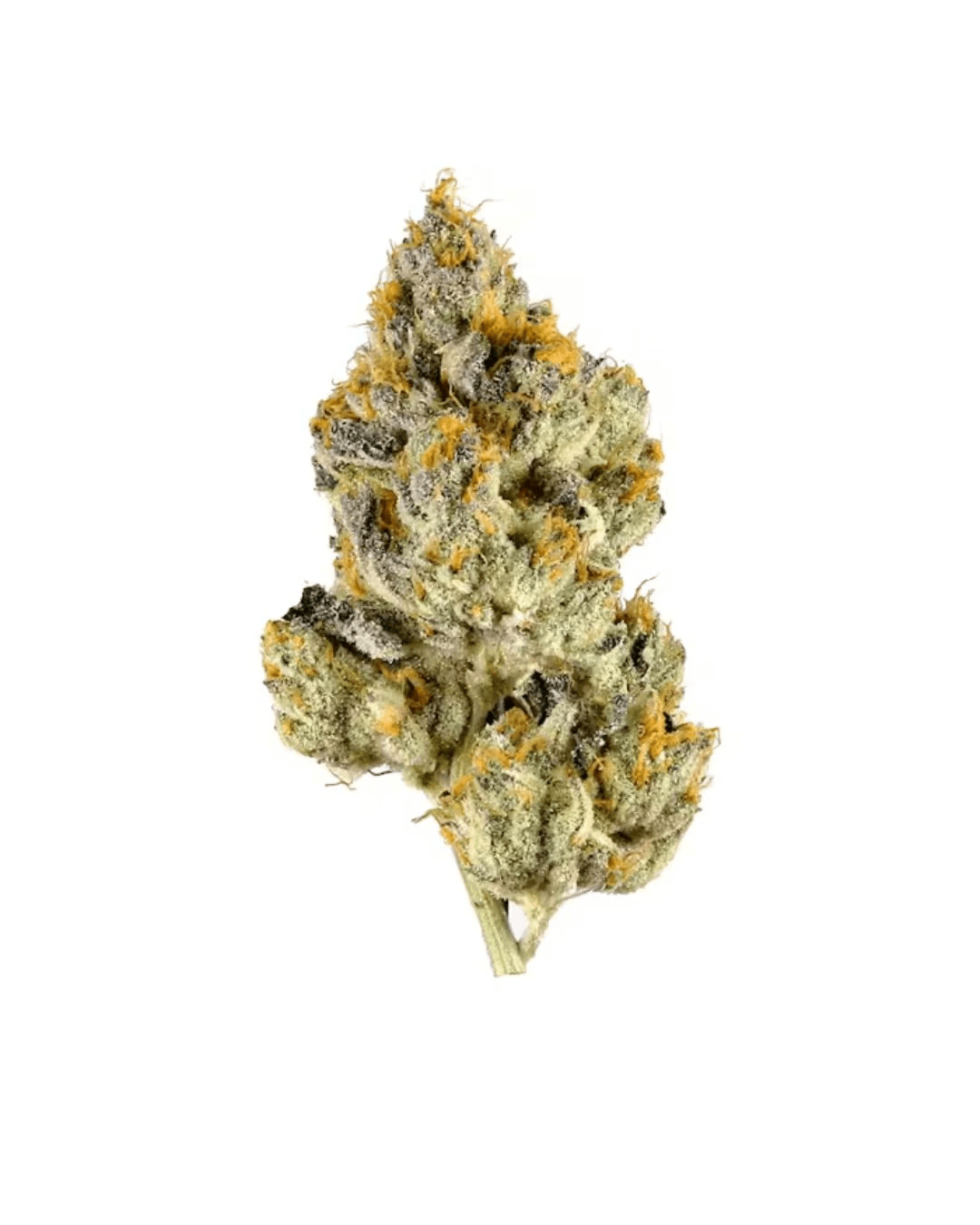 Lemon Cherry Gelato Lemon Cherry Gelato