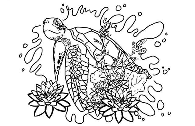 Section image