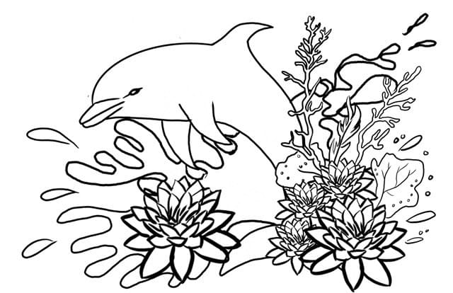 Section image