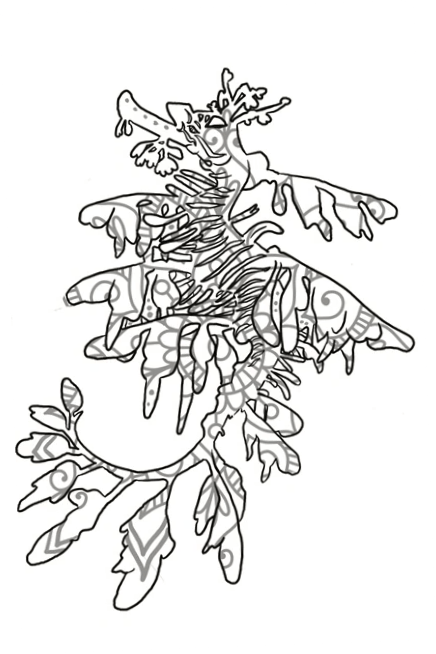 Section image