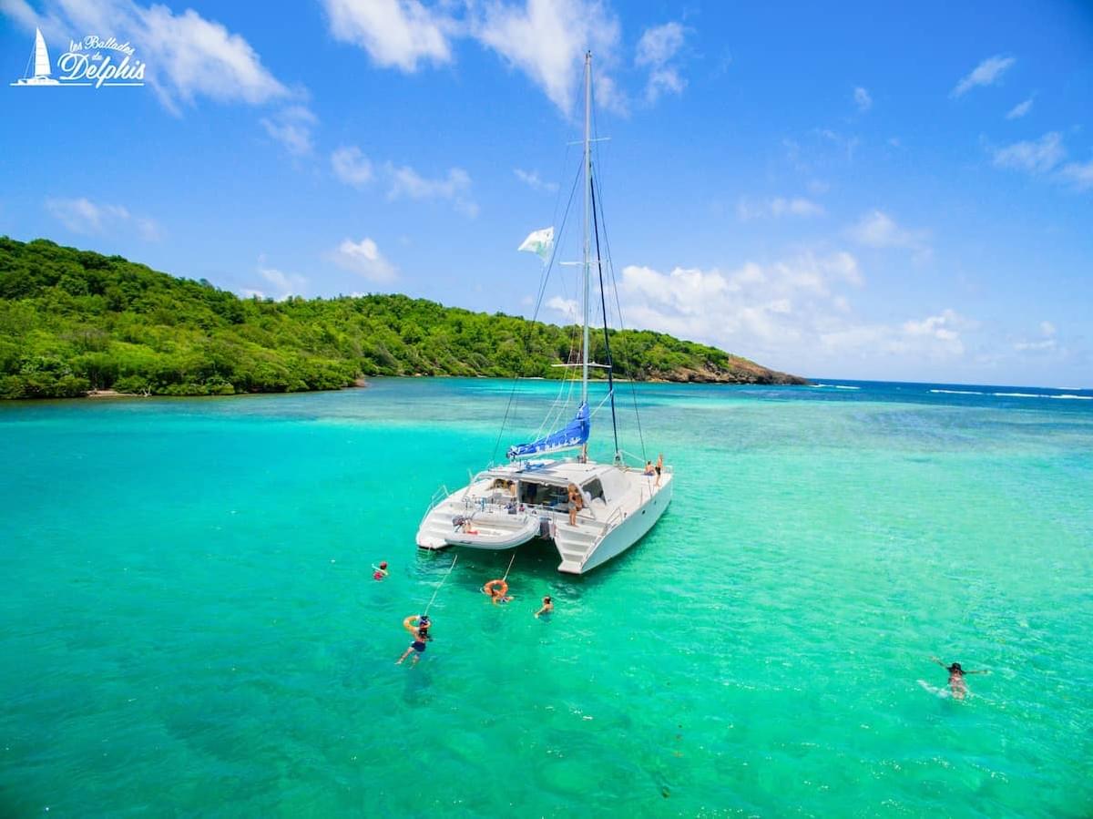 le-delphis-book-a-catamaran-excursion-in-martinique le-delphis-book-a-catamaran-excursion-in-martinique