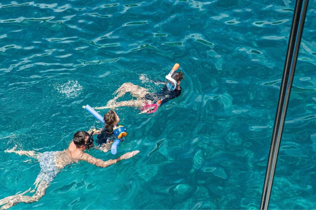 sortie-catamaran-martinique-dauphins-nord-caraibe sortie-catamaran-martinique-dauphins-nord-caraibe