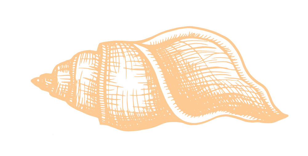 book-a-nautical-excursion-fonds-blancs-martinique book-a-nautical-excursion-fonds-blancs-martinique