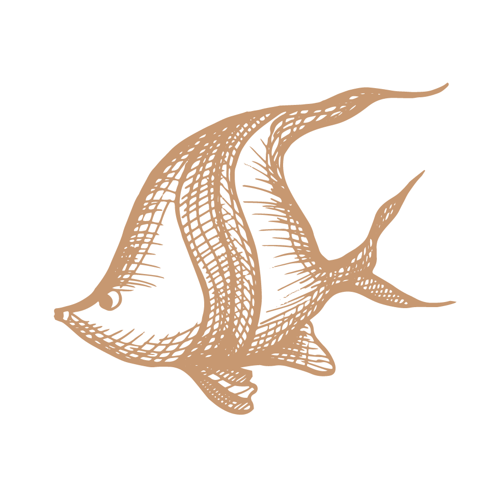 half-day-excursion-fonds-blancs-martinique-ecofriendly half-day-excursion-fonds-blancs-martinique-ecofriendly