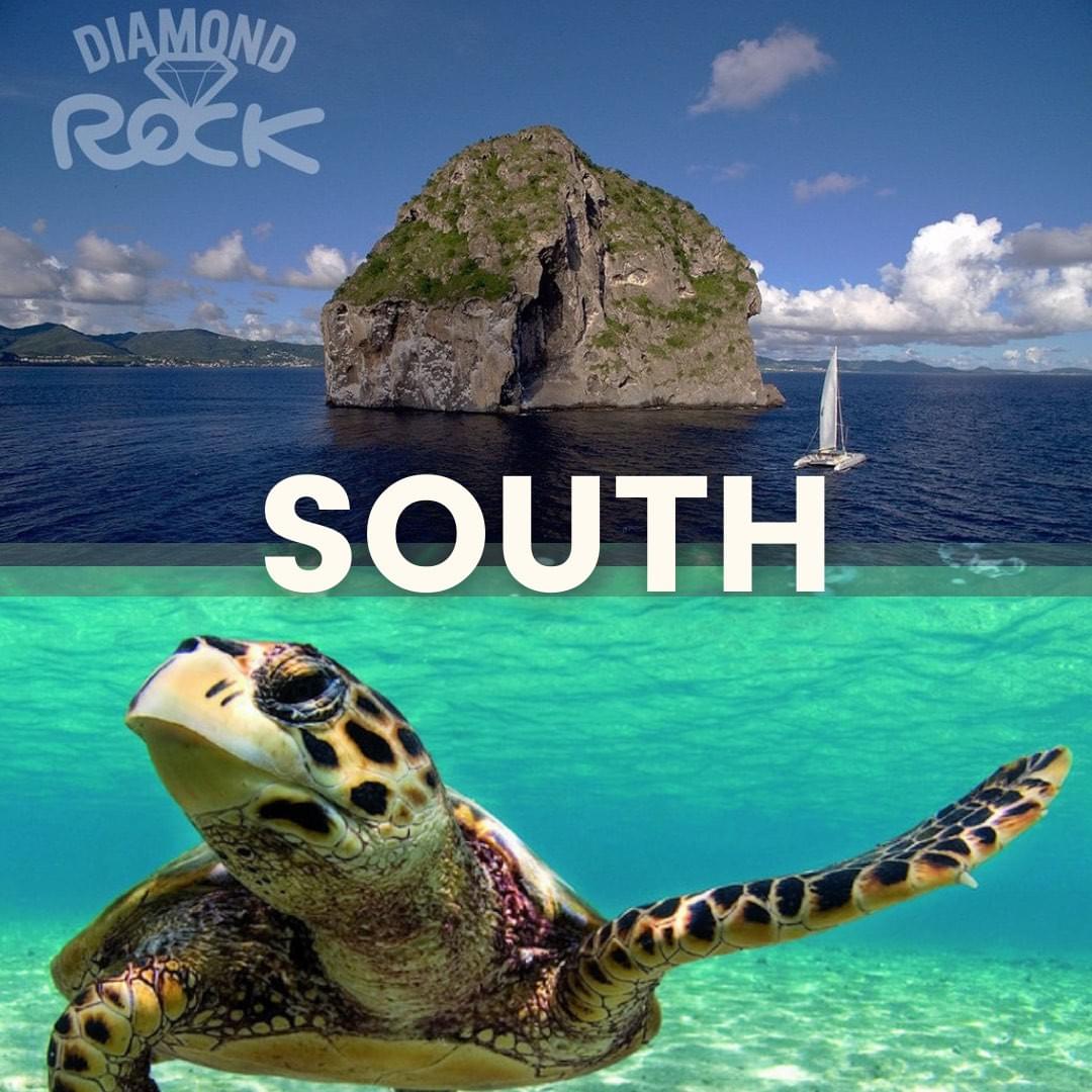 all-inclusive-boat-tour-south-of-martinique-catamaran-turtles all-inclusive-boat-tour-south-of-martinique-catamaran-turtles