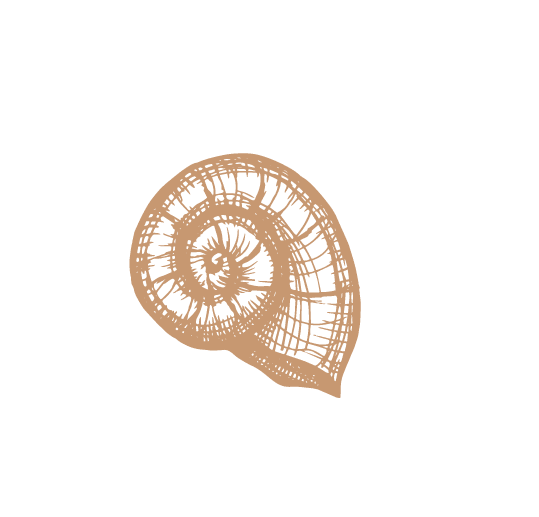 une-vision-de-l-ecotourisme-en-martinique-inspirations une-vision-de-l-ecotourisme-en-martinique-inspirations