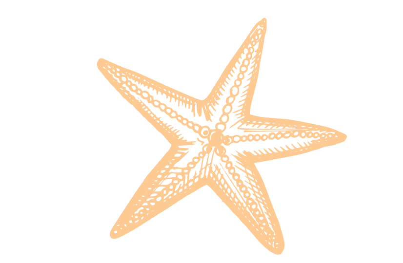 seatheway-excursions-ecofriendly-martinique-ecosystems seatheway-excursions-ecofriendly-martinique-ecosystems