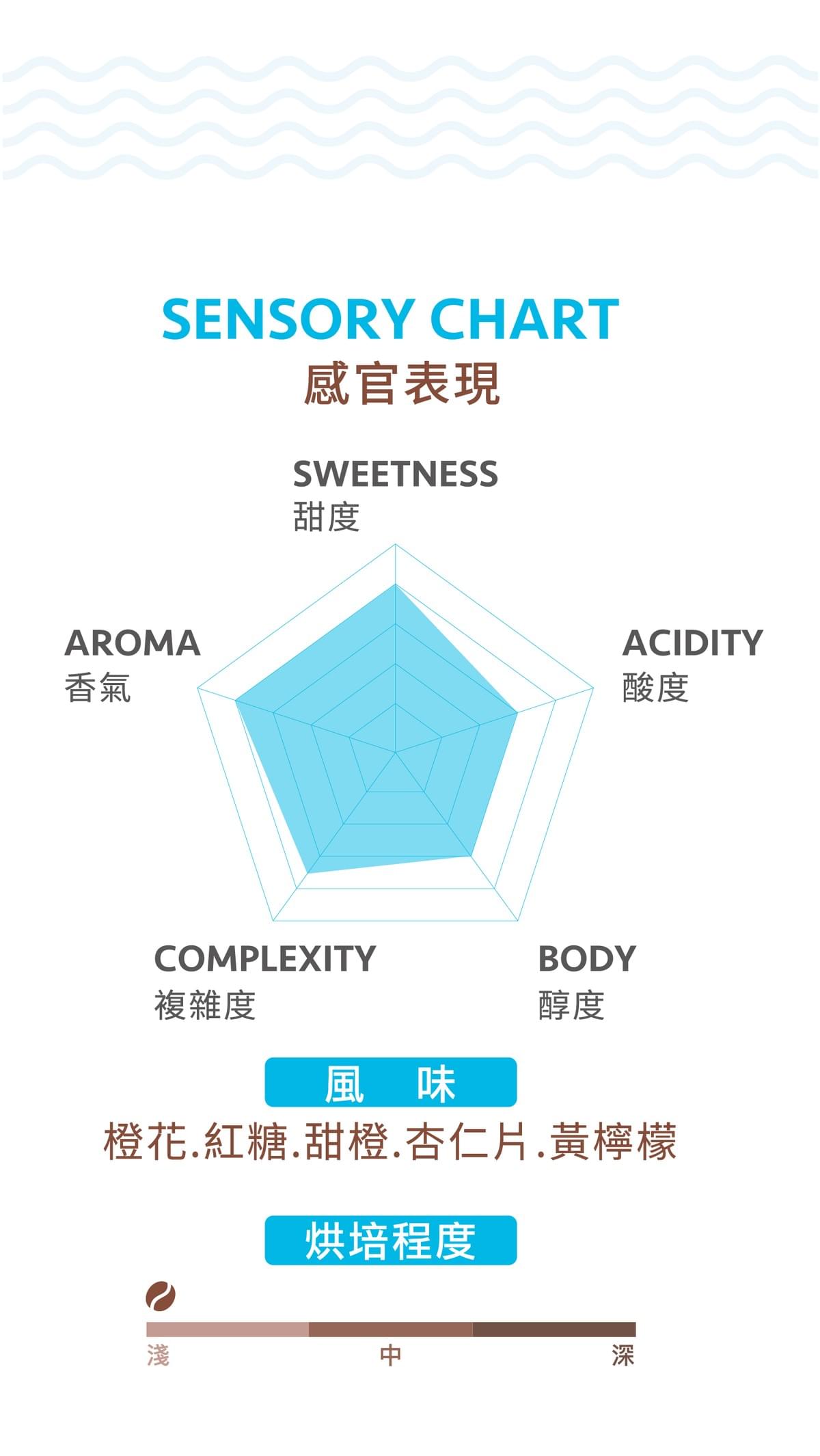 淺焙【衣索比亞 古吉 布蕾罕貝拉】水洗 掛耳包 / 濾掛包