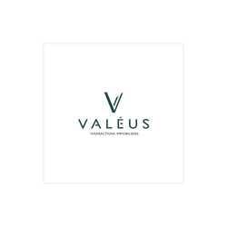 VALEUS Transactions immobilières Le Mans | SEO Immobilier VALEUS Transactions immobilières Le Mans | SEO Immobilier