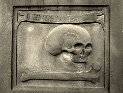 Section image