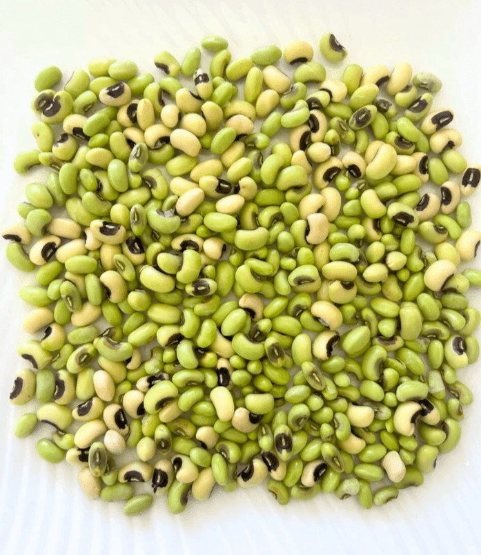 Noon International Fresh Frozen IQF Black-Eyed Peas Noon International Fresh Frozen IQF Black-Eyed Peas