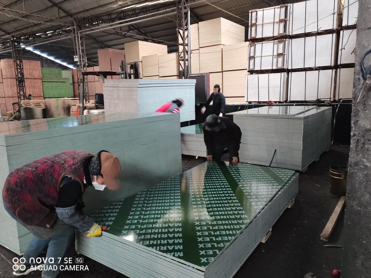 PP plastic coated plwood panels  PP plastic coated plwood panels