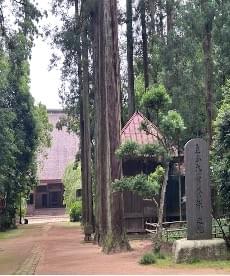 Section image