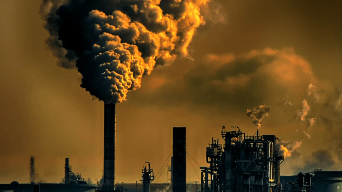NCASTE, CARBON SECTOR NCASTE, CARBON SECTOR