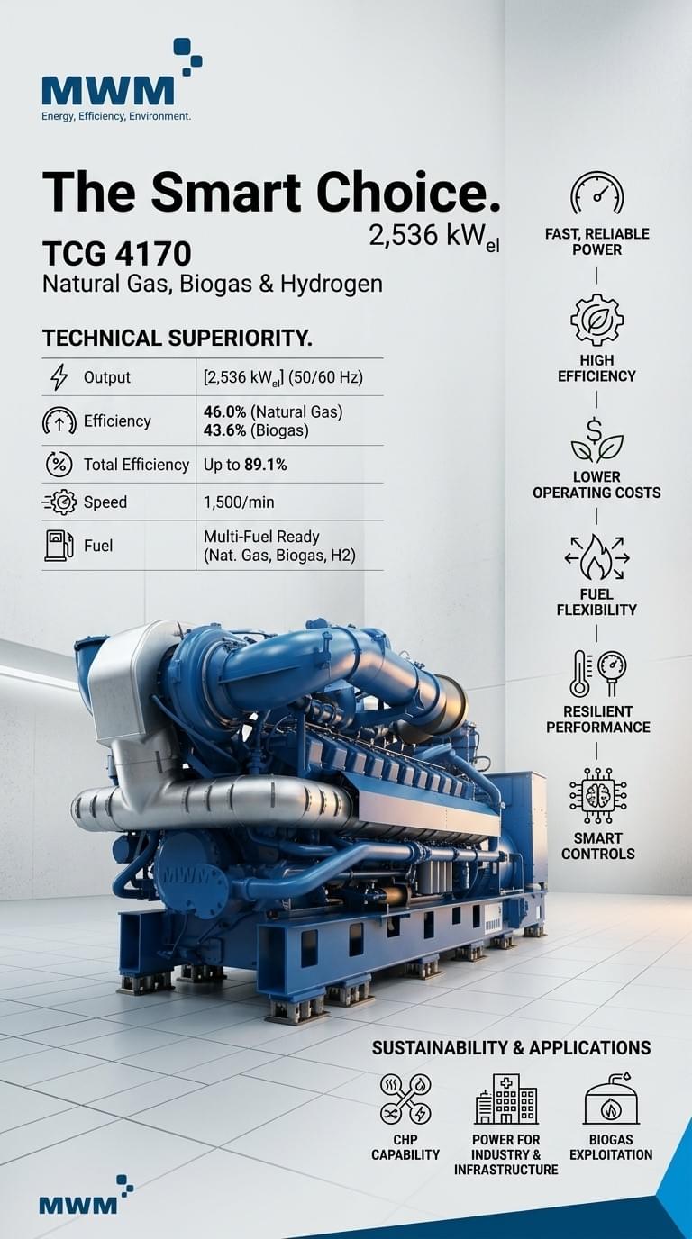 MWM Gas Engine TCG 4170 V20