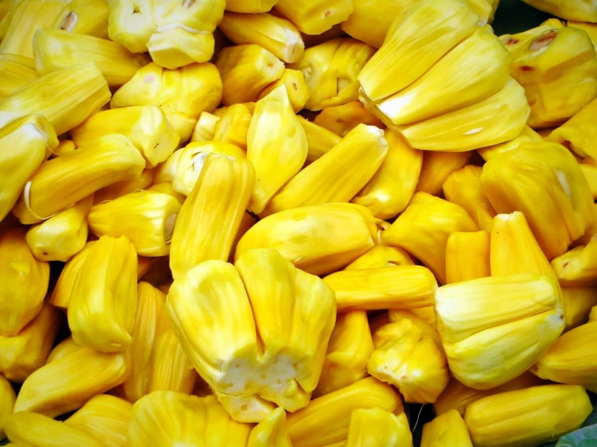 Jackfruits in Cambodia Jackfruits in Cambodia