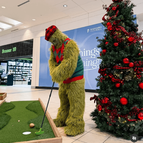 The Grinch Who Stole Christmas Dr Suess Holiday Character Performer Edmonton Christmas Party Special Event Entertainment The Grinch Who Stole Christmas Dr Suess Holiday Character Performer Edmonton Christmas Party Special Event Entertainment