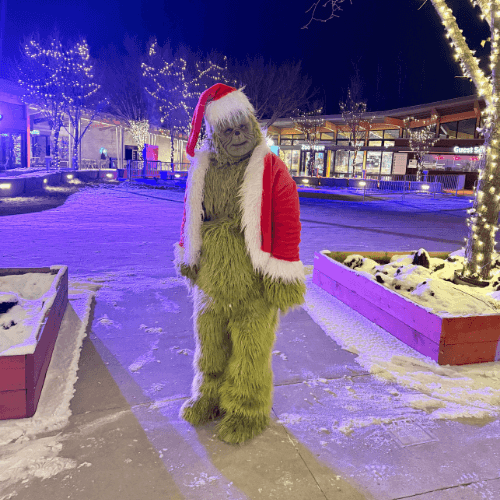 The Grinch Who Stole Christmas Dr Suess Holiday Character Performer Edmonton Christmas Party Special Event Entertainment The Grinch Who Stole Christmas Dr Suess Holiday Character Performer Edmonton Christmas Party Special Event Entertainment