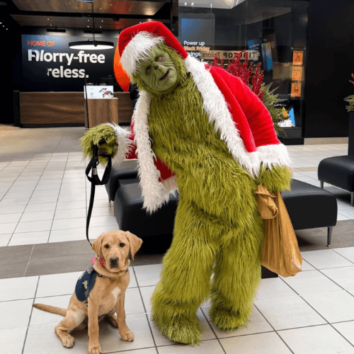 The Grinch Who Stole Christmas Dr Suess Holiday Character Performer Edmonton Christmas Party Special Event Entertainment The Grinch Who Stole Christmas Dr Suess Holiday Character Performer Edmonton Christmas Party Special Event Entertainment