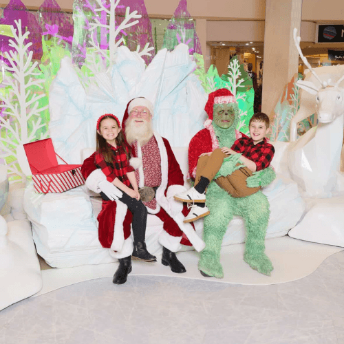 The Grinch Who Stole Christmas Dr Suess Holiday Character Performer Edmonton Christmas Party Special Event Entertainment The Grinch Who Stole Christmas Dr Suess Holiday Character Performer Edmonton Christmas Party Special Event Entertainment