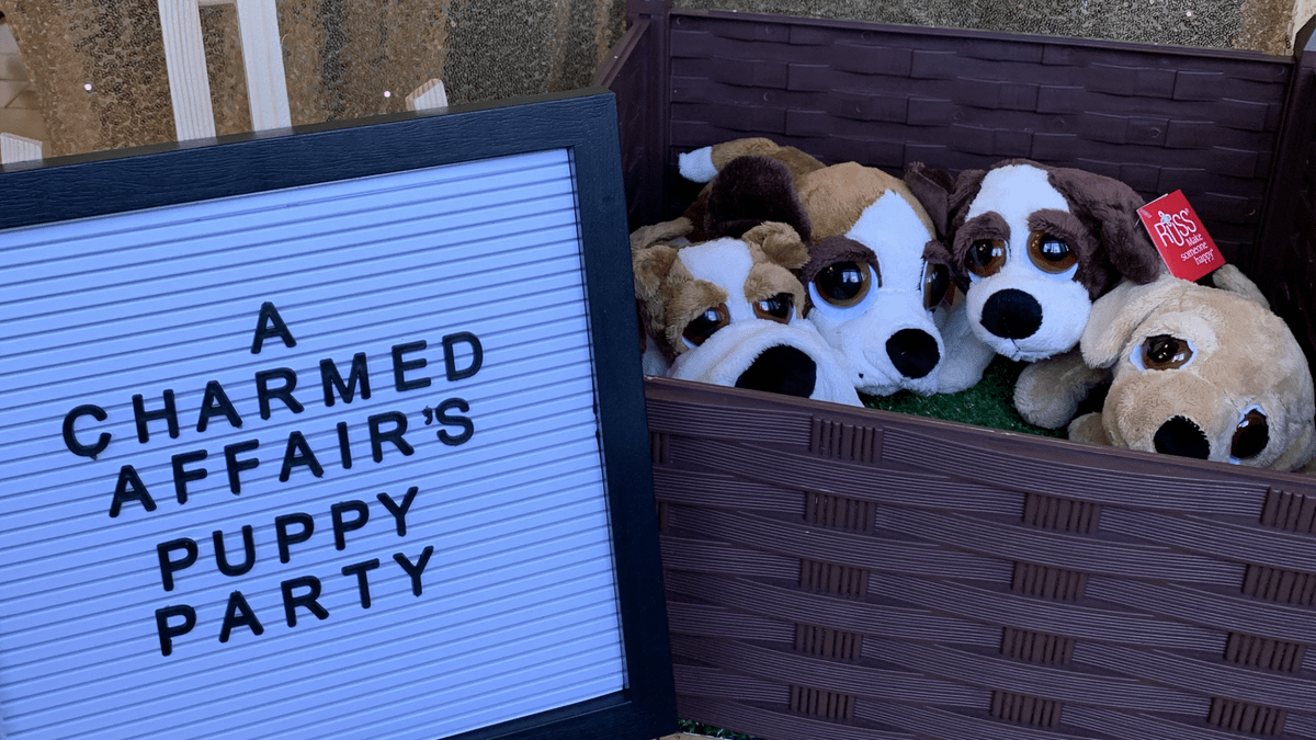 Puppy Theme Birthday Party Edmonton Adopt a Stuffed Puppy Birthday Party Package Puppy Theme Birthday Party Edmonton Adopt a Stuffed Puppy Birthday Party Package