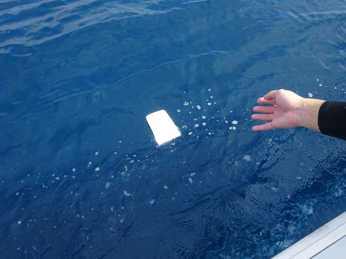 海に還ったあなたへの手紙2025 海に還ったあなたへの手紙2025