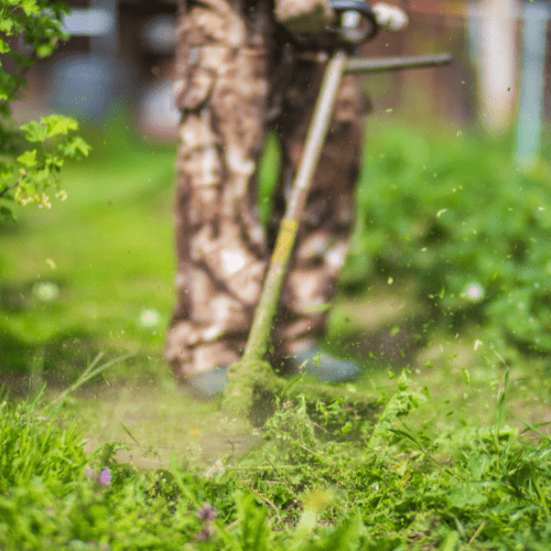 Lawn care and grass trimming Colchester, CT. Lawn care and grass trimming Colchester, CT.