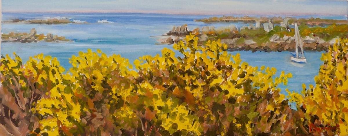 Les Genêts en fleurs Les Genêts en fleurs