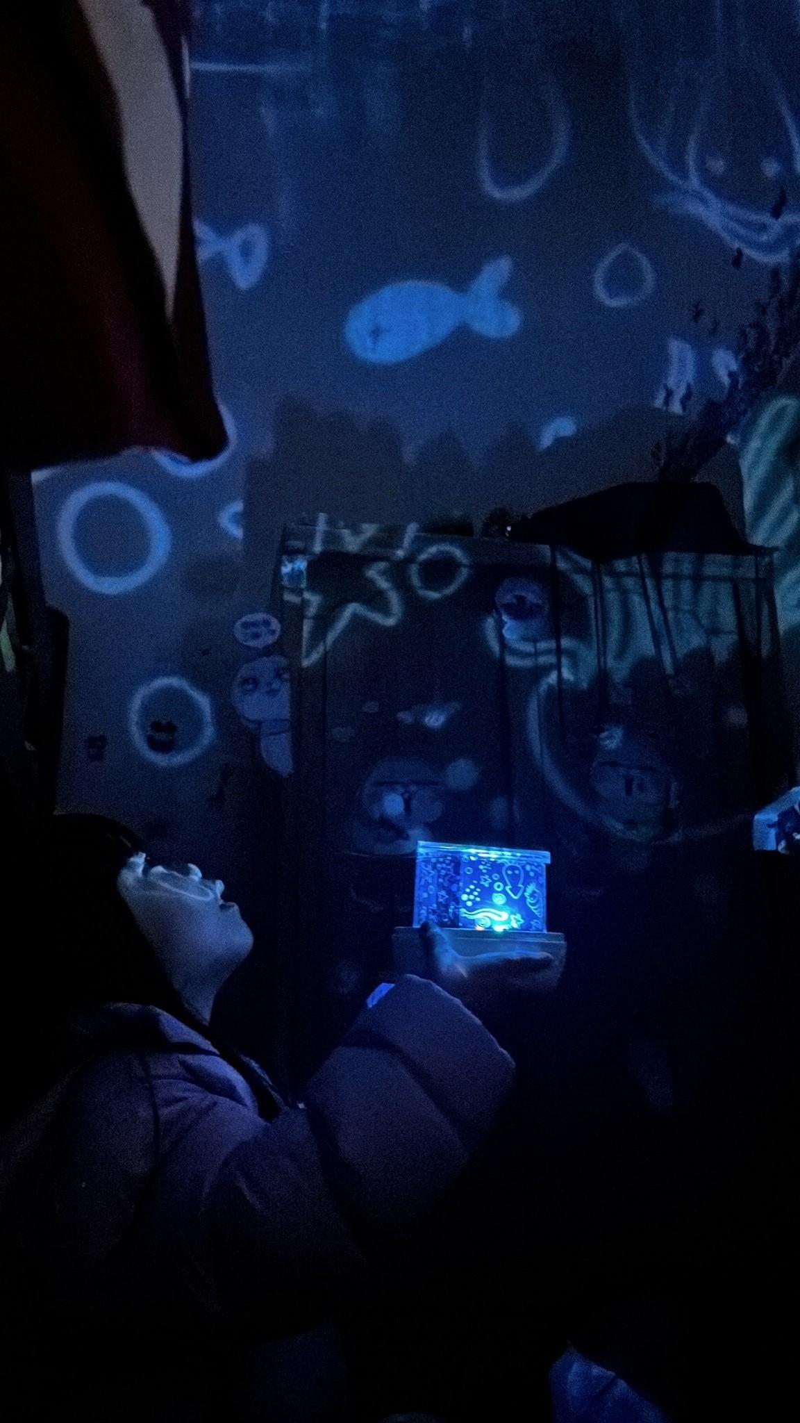 『aibo』皇冠 自動旋轉音樂盒 星空投影燈—12/9~12/25