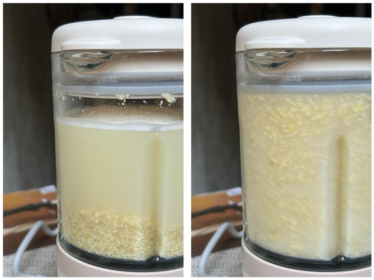 『飛利浦』破壁營養冷熱豆漿調理機 (HR2038/30)—2/24~3/31