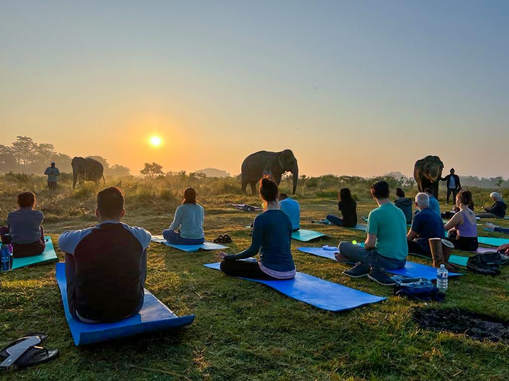 Talk about your adventures around the Sapana fireplace Talk about your adventures around the Sapana fireplace