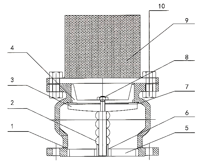 Foot Valve