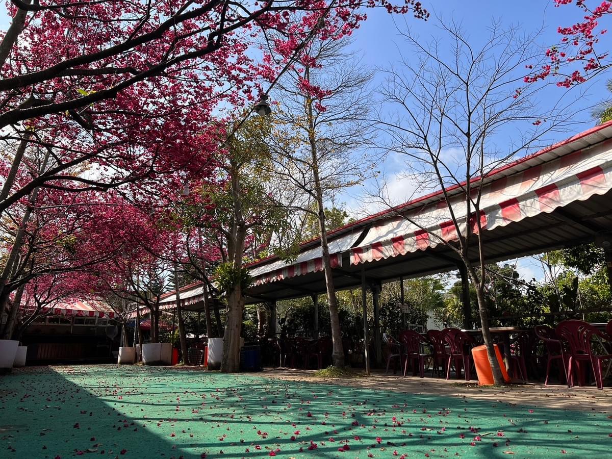 體驗自然之美,享受親子共遊的快樂時光。無論是與親友共度周末,或是舉辦生日派對、家庭聚會,我們提供多樣化的活動及設施,讓每位來賓都能找到屬於自己的樂趣。透過與動物互動、親近大自然,不僅能讓孩子們學習保護環境的重要性,也能讓大人們放鬆身心,重拾對生活的熱情。精心打造的用餐環境讓您在享用美食的同時,也能感受到自然的氣息,讓您的用餐體驗更加完美。歡迎各式團體蒞臨,讓我們一同共度美好時光,創造難忘的回憶。 體驗自然之美,享受親子共遊的快樂時光。無論是與親友共度周末,或是舉辦生日派對、家庭聚會,我們提供多樣化的活動及設施,讓每位來賓都能找到屬於自己的樂趣。透過與動物互動、親近大自然,不僅能讓孩子們學習保護環境的重要性,也能讓大人們放鬆身心,重拾對生活的熱情。精心打造的用餐環境讓您在享用美食的同時,也能感受到自然的氣息,讓您的用餐體驗更加完美。歡迎各式團體蒞臨,讓我們一同共度美好時光,創造難忘的回憶。