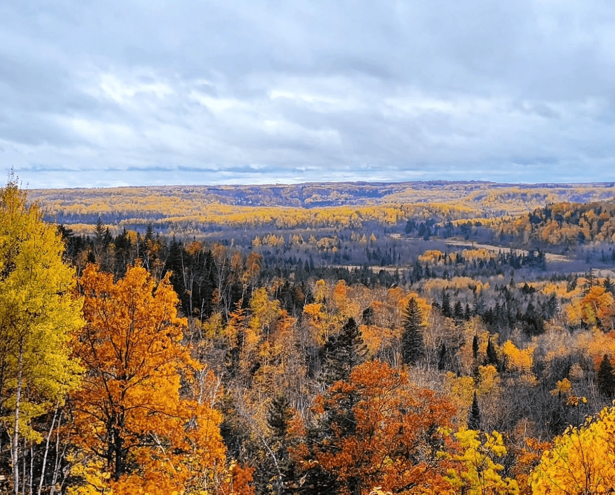 Section image