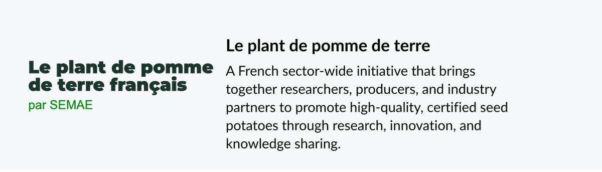 Le Plant de Pomme de Terre Le Plant de Pomme de Terre