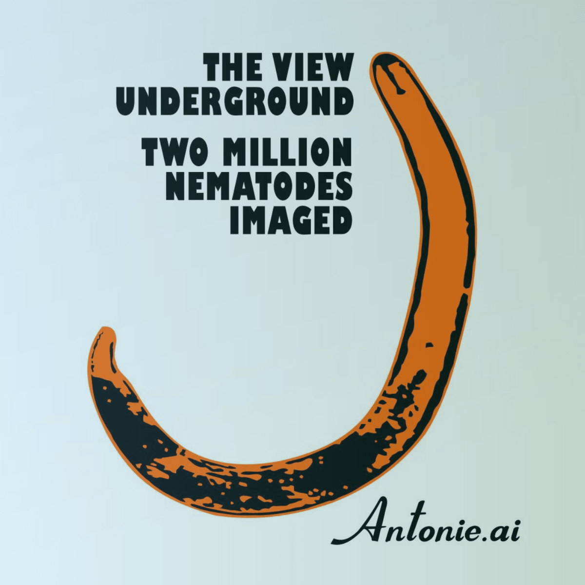 Eurosoil 2025 Eurosoil 2025