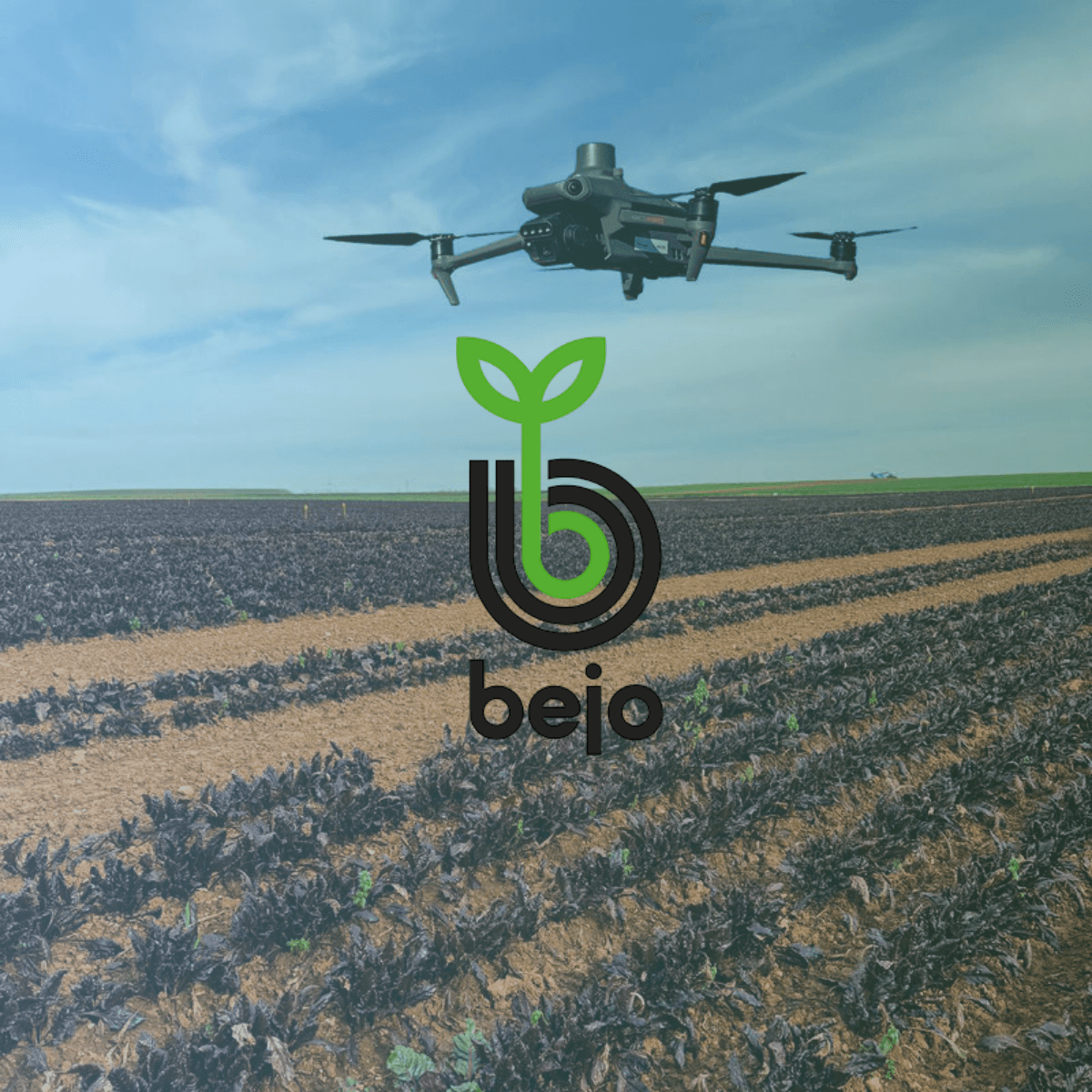 Bejo invests in Antonie.... Bejo invests in Antonie....