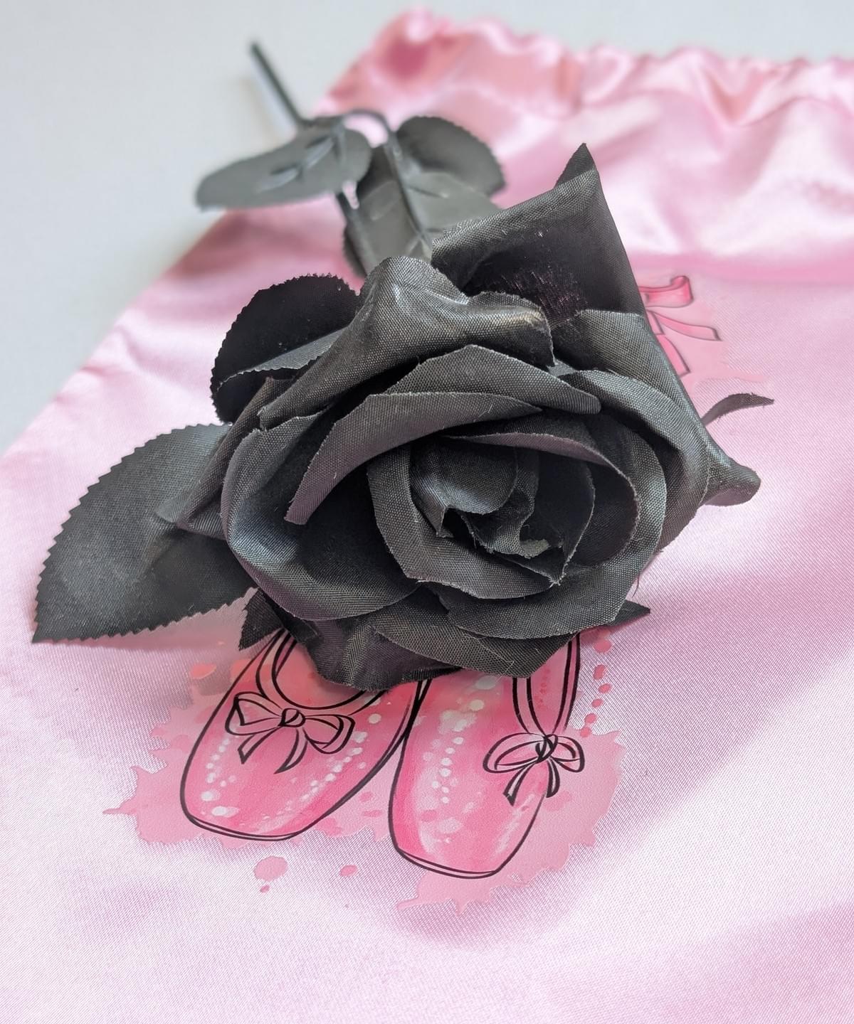 Murder En Pointe — All in One Premium Murder Mystery Game