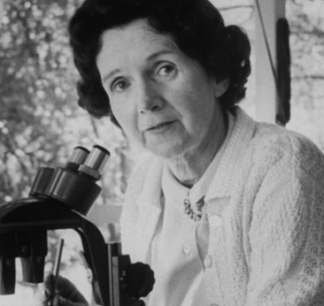 Rachel Carson, écoféministe Rachel Carson, écoféministe