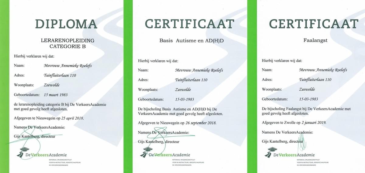 rijschool Mieke Zeewolde rijschool Mieke Zeewolde