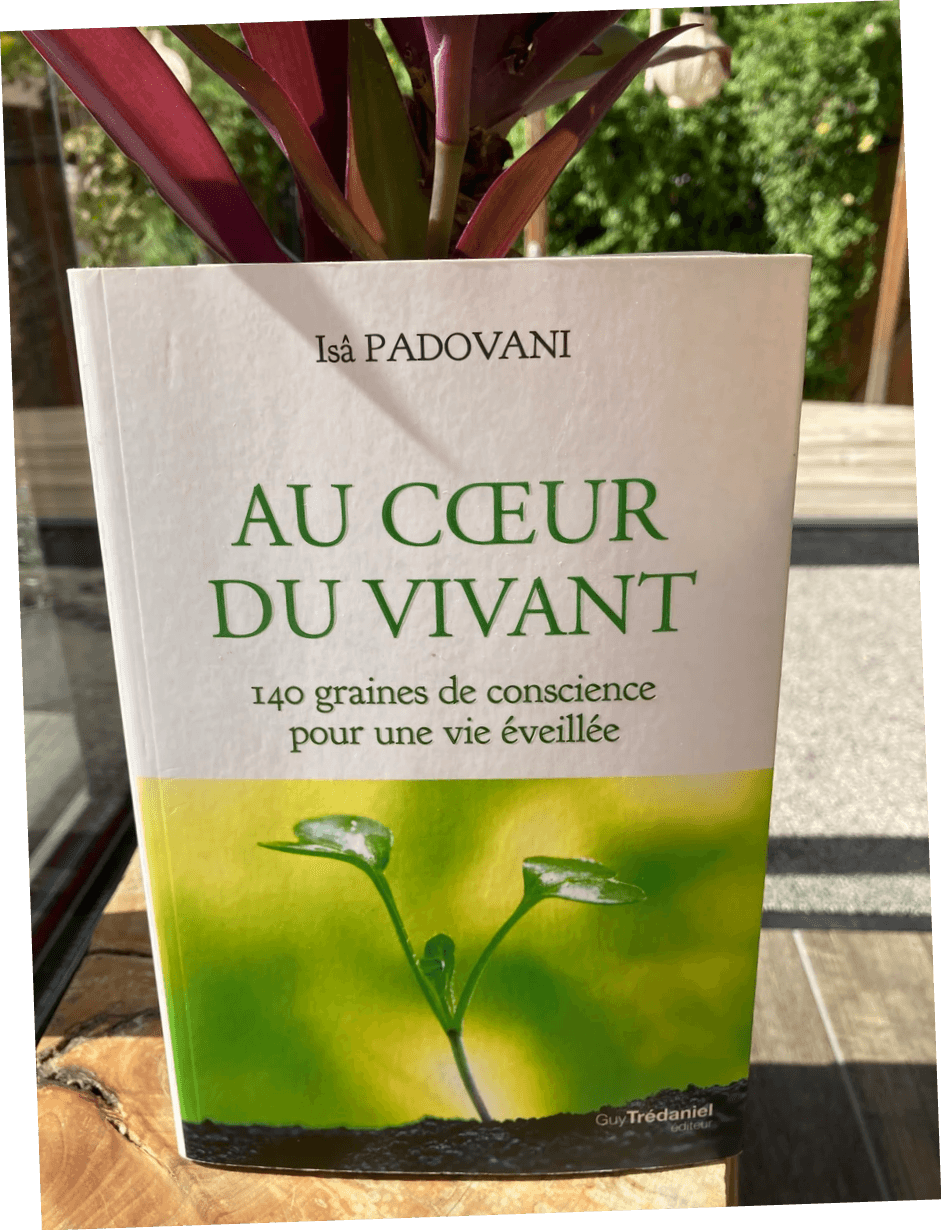 Le livre "Hymnes à Ce Qui Est" de Nathalie Champougny, posé entre un tissu représentant un mandala et des cristaux Le livre "Hymnes à Ce Qui Est" de Nathalie Champougny, posé entre un tissu représentant un mandala et des cristaux