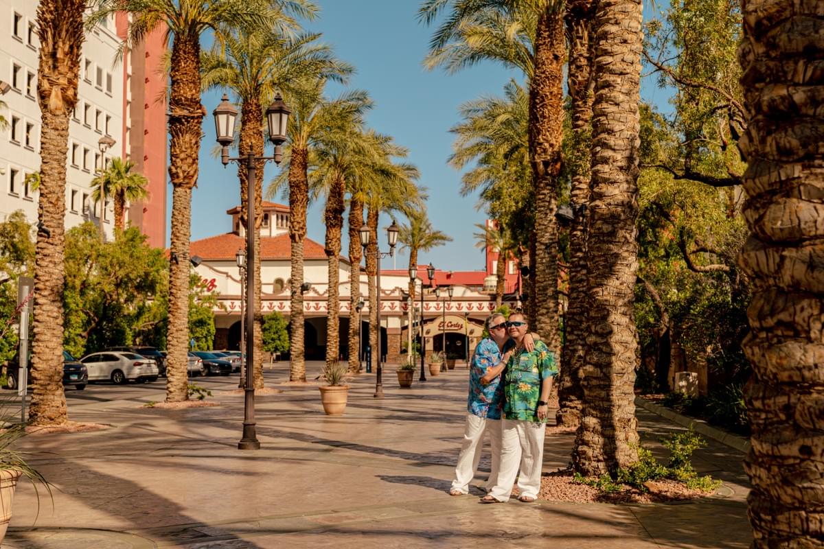 Couple posed near palm tree row on Fremont Street Couple posed near palm tree row on Fremont Street