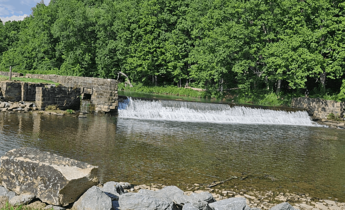 Section image