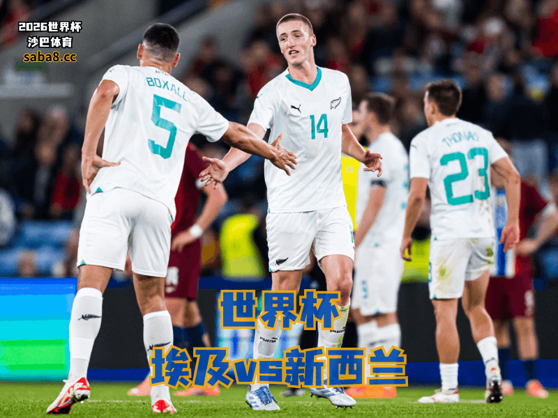 沙巴体育官网、2026世界杯、足球推荐、世界杯预测、世界杯推荐、五大联赛、新西兰足球国家队 沙巴体育官网、2026世界杯、足球推荐、世界杯预测、世界杯推荐、五大联赛、新西兰足球国家队