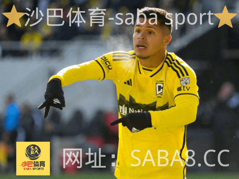 沙巴体育 沙巴体育官网 美职足 哥伦布机员 沙巴体育 沙巴体育官网 美职足 哥伦布机员