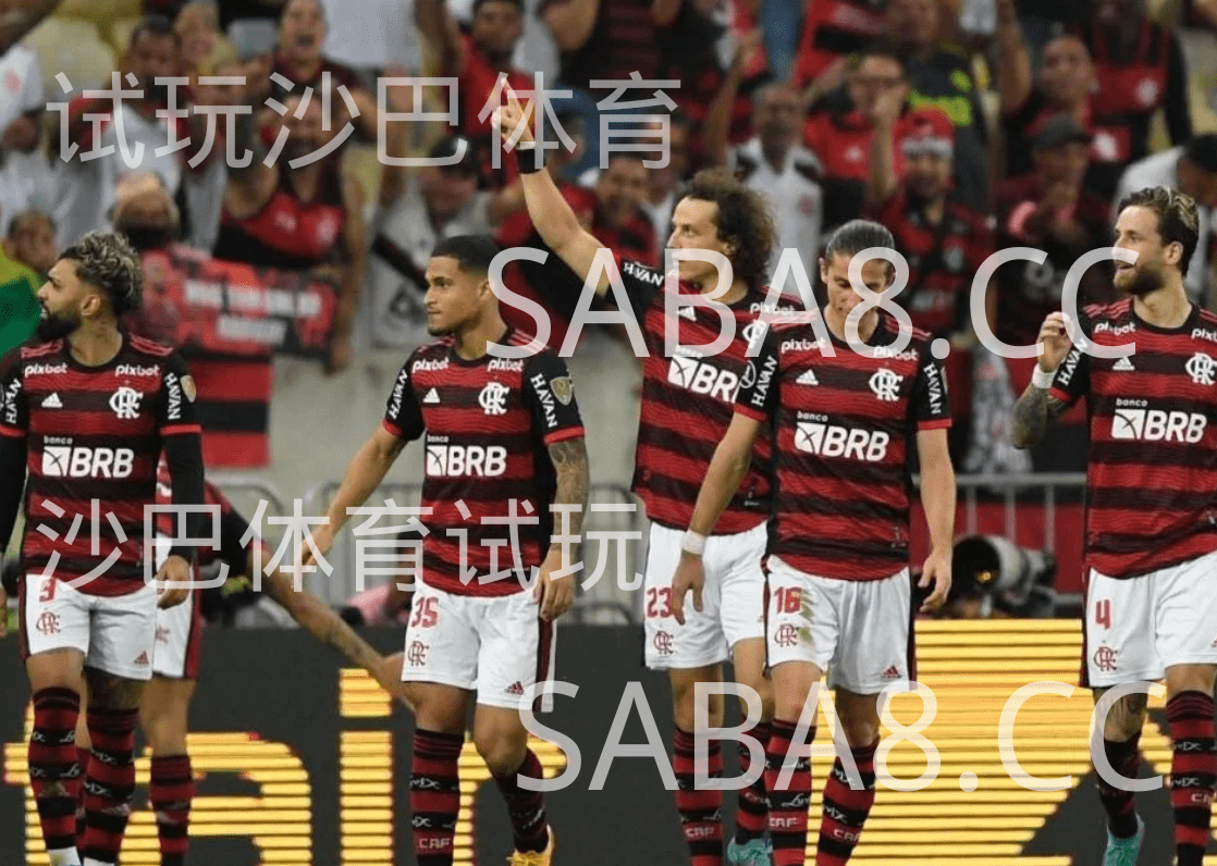 沙巴体育;沙巴体育官网:巴甲;弗拉门戈 VS 克鲁塞罗 沙巴体育;沙巴体育官网:巴甲;弗拉门戈 VS 克鲁塞罗