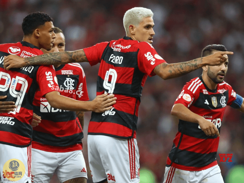 沙巴体育官网、沙巴体育、弗拉门戈 沙巴体育官网、沙巴体育、弗拉门戈