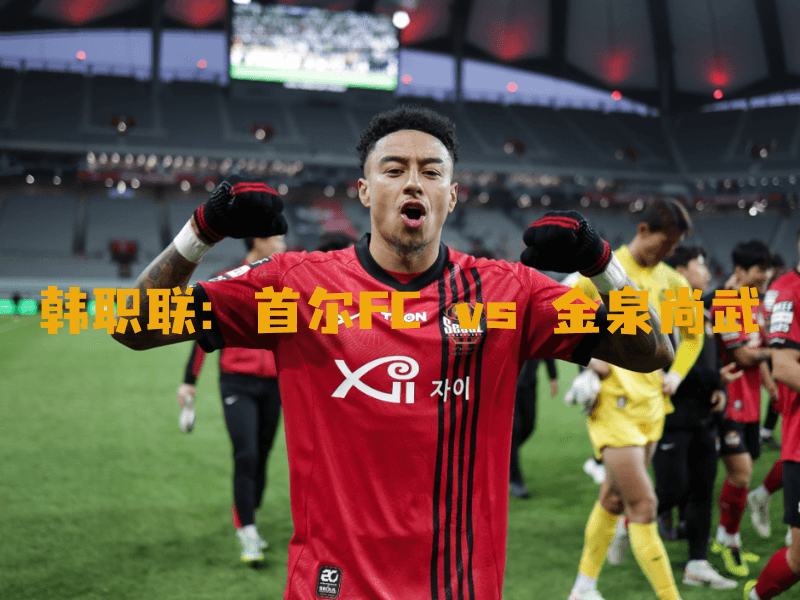 沙巴体育、沙巴体育官网、韩职联、FC首尔、FC Seoul 沙巴体育、沙巴体育官网、韩职联、FC首尔、FC Seoul