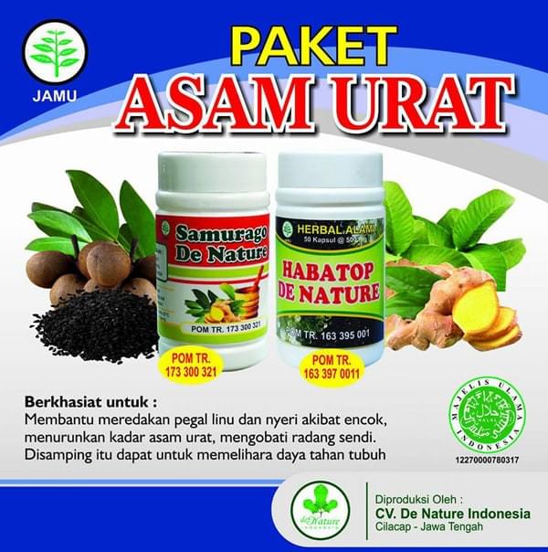 obat asam urat obat asam urat
